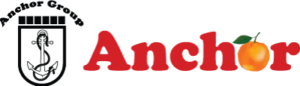 Avada Construction Logo